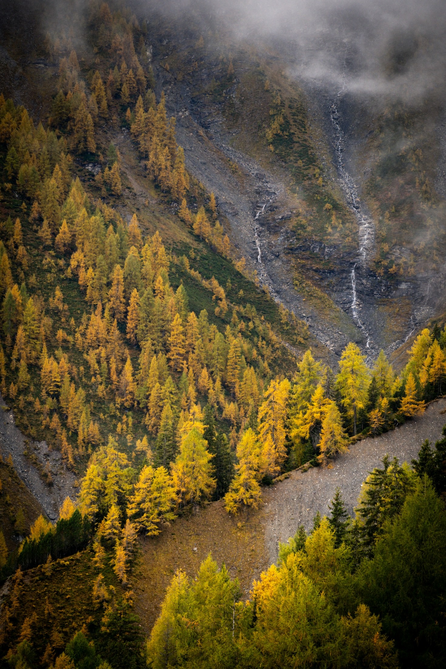 Zomeractiviteiten voor het hele gezin in Graubünden